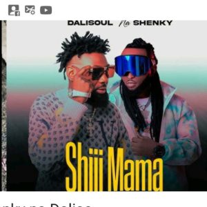 Dalisoul Ft Shenky – Shimama Mp3 Download